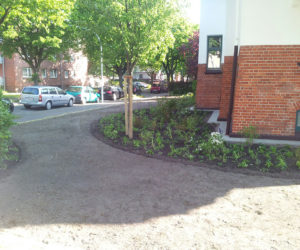 Anpflanzung / Strassenbegrünung / Gartenbau in Wilhelmshaven