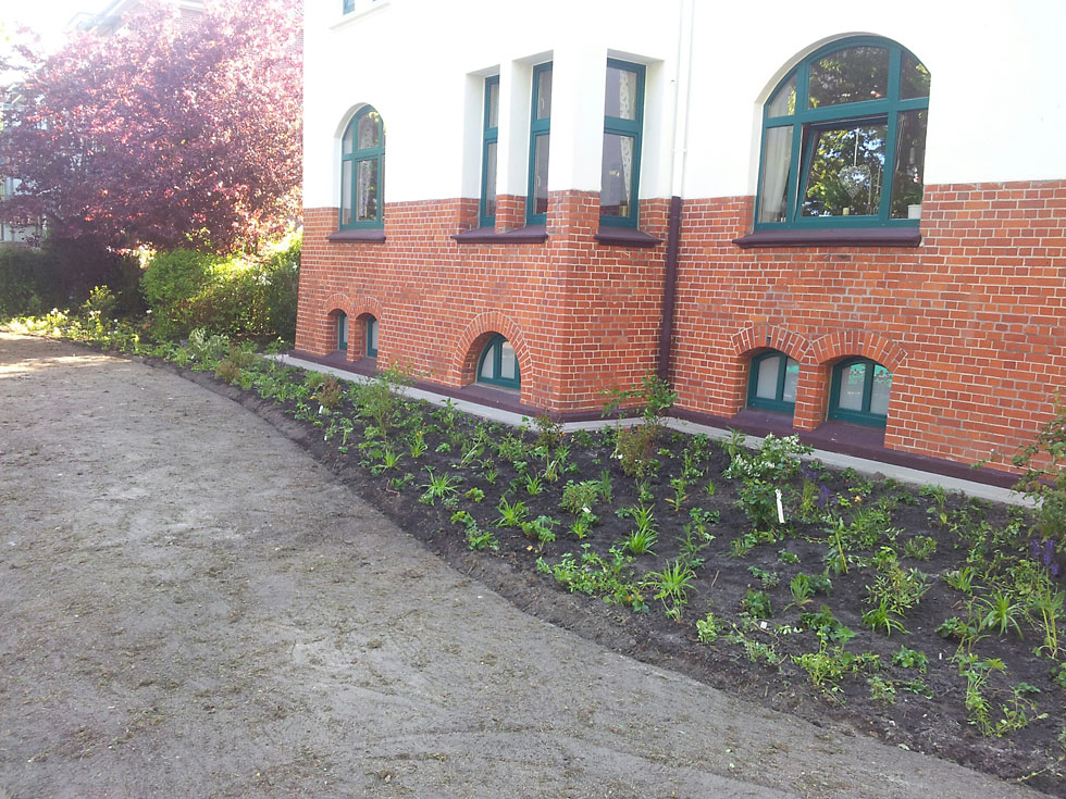 Anpflanzung / Strassenbegrünung / Gartenbau in Wilhelmshaven