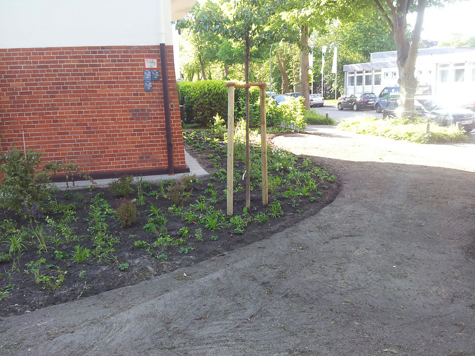 Anpflanzung / Strassenbegrünung / Gartenbau in Wilhelmshaven