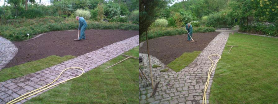 Gartenbau / Gartengestaltung - Rosarium in Wilhelmshaven