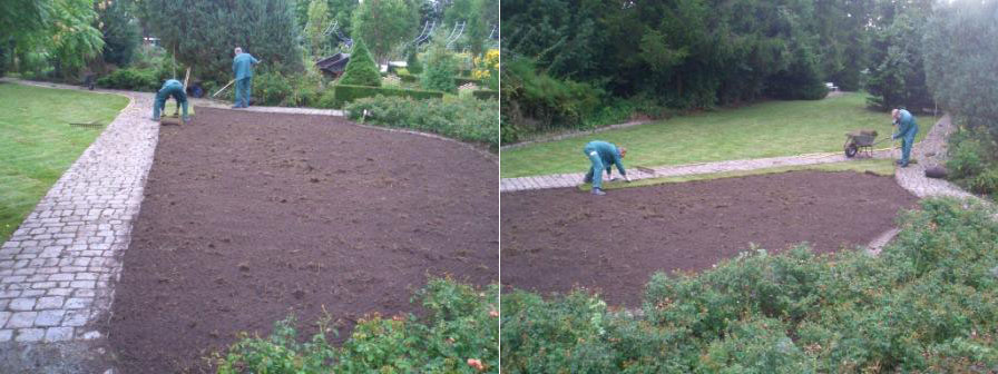 Gartenbau / Gartengestaltung - Rosarium in Wilhelmshaven