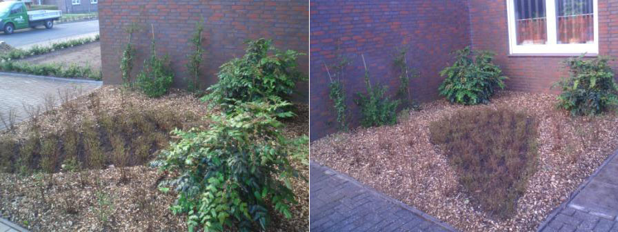 Gartenneugestaltung in Wilhelmshaven
