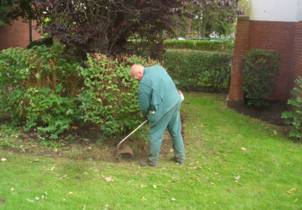 Gartenpflege / Heckenschnitt / Gartenbau in Wilhelmshaven