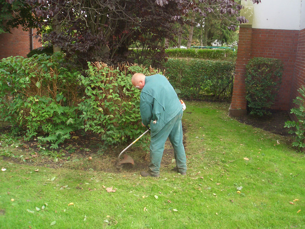 Gartenpflege / Heckenschnitt / Gartenbau in Wilhelmshaven