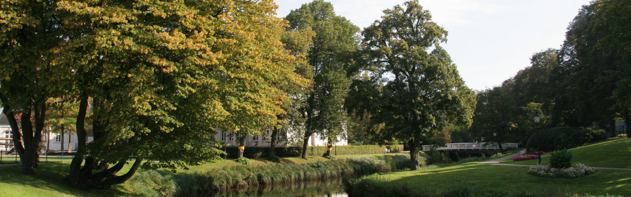 Gartenbau und Gartenpflege in Wilhelmshaven