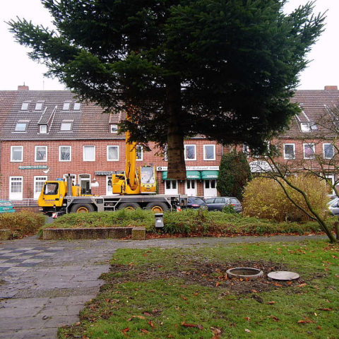 Weihnachtsbaum-Transport in Wilhelmshaven